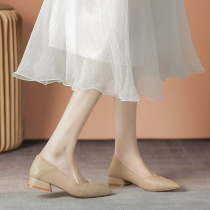 Nude pointed toe flat shoes for women spring and autumn 2024 new style soft sole comfortable work professional interview low heel work shoes