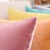 Rắn màu nhung đệm sofa ôm gối văn phòng trở lại giường gối vuông đệm bìa lõi gối tựa lưng ô tô cao su non Trở lại đệm / Bolsters