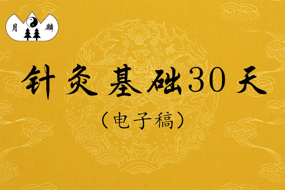 《针灸基础30天》整册排版A4电子稿 弯月林针灸练针包总店 电子稿