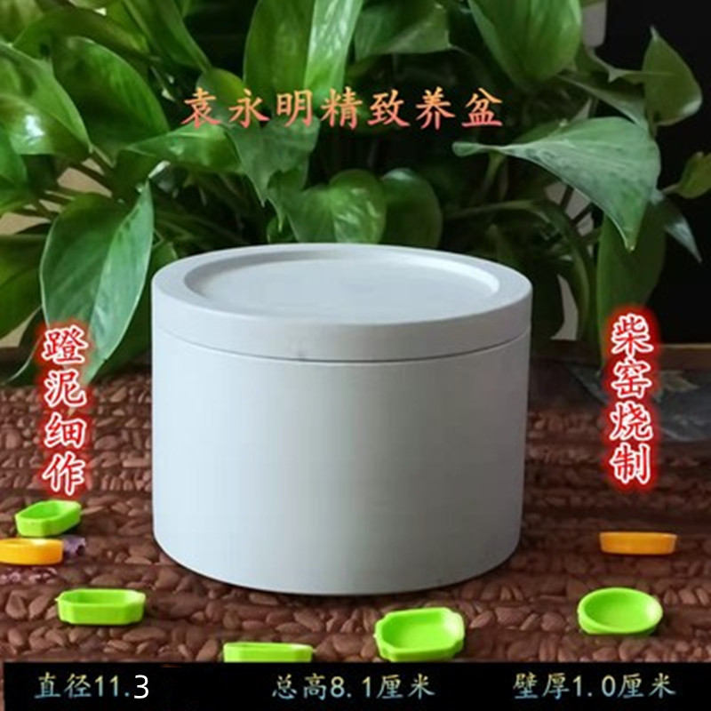 精致蟋蟀罐必备！🎉蟋蟀用具性价比之王，养蛐蛐就用它！🦗-蟋蟀-淘宝好物网