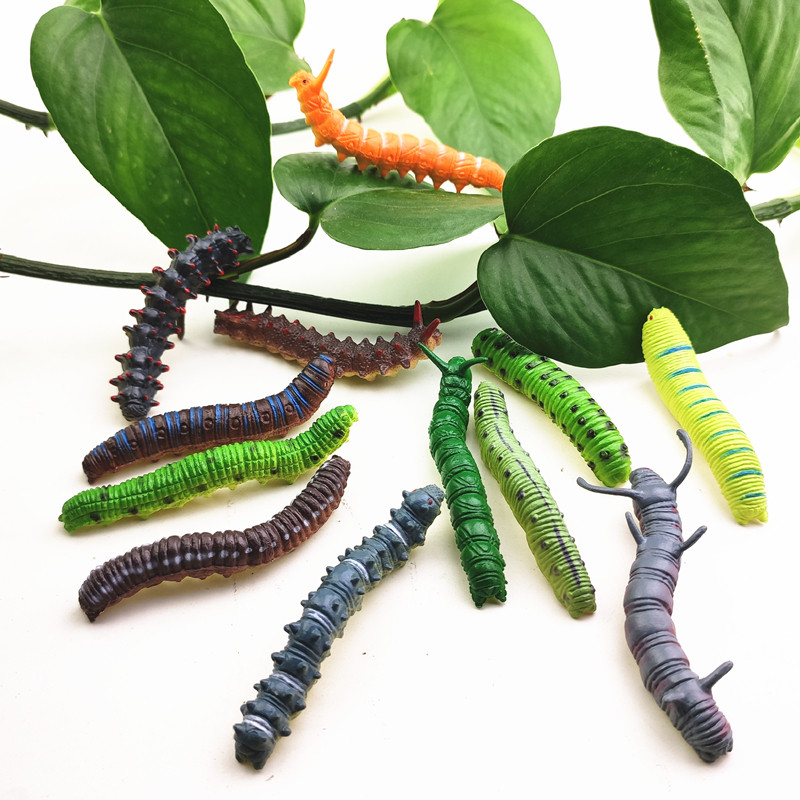 Simulation of Caterpillar Cateries Cabbage Cabbage Model Toy Microlandscape Scenery Screaming Children Early Teaching Cognition