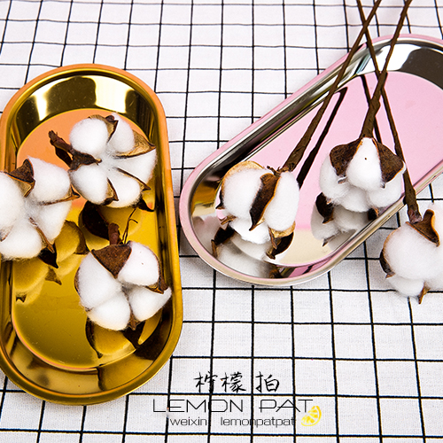 Lemon Beats in natural cotton Photography shooting Pendulum Pieces Dry Flowers DIY Dry Flowers Decoration Hem Flowers Bouquet Real Flowers