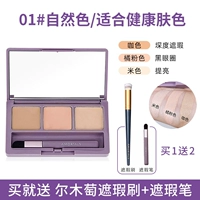 Натуральный цвет (купить один волос 3) Отправьте щетку консилера