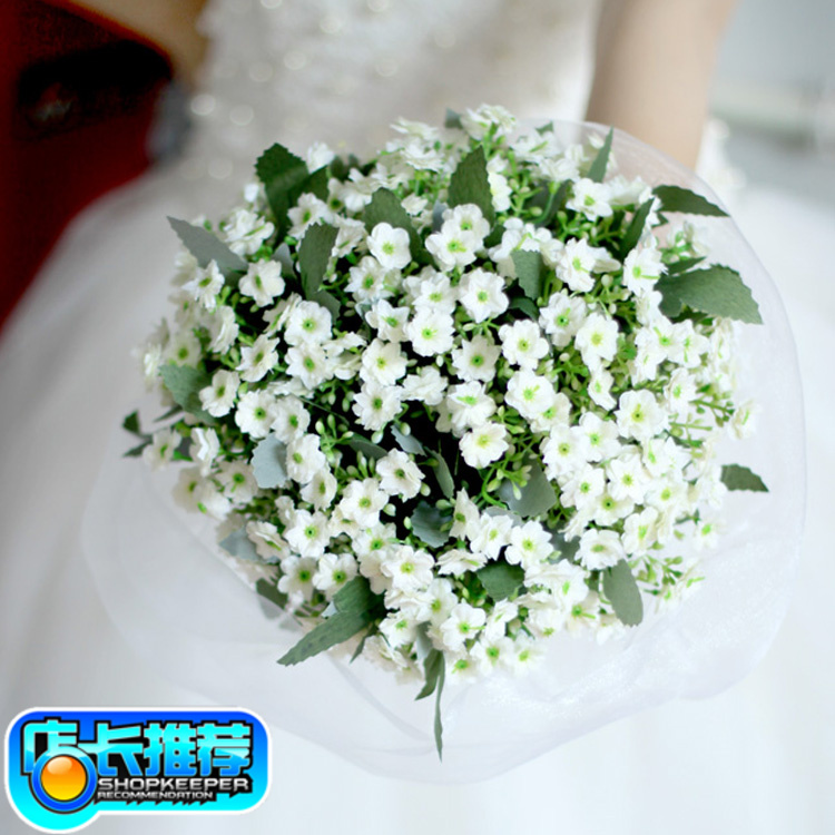 Korean-style bride wedding holding flowers props Sen Department location shooting white Milan simulation small broken flower certificate photo
