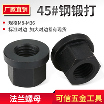  Flange with pad nut with pad nut M10M12M14M16M18M20M22M24-M30 Platen nut