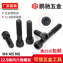  EG Pengchi 12 Class 9 Hexagon screw Cylindrical head Cup head Hexagon screw M8M10M12*10--150