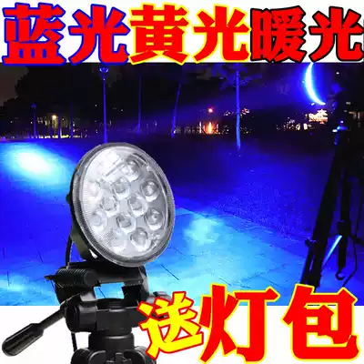 Fishing light blue xenon lamp high power night fishing super bright LED light 12v raft fishing hernia yellow white strong light lure fish