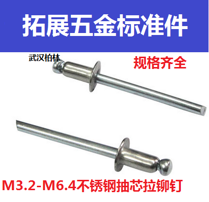 5 6 4mm stainless steel 304 pumping core rivet pulling rivet upholstery nail head pull nail M4 8 8 10 11-35