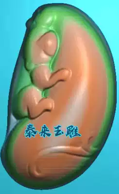 Scan wireless flower pieces Shougui beast Fu melon carved figure relief jade sculpture gray map computer carving JDPBMP