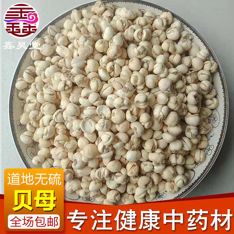 Small pointed shell 500g~5kg Chuan Fritillaria, Song Fritillaria, Furnace Fritillaria, Flat Fritillaria