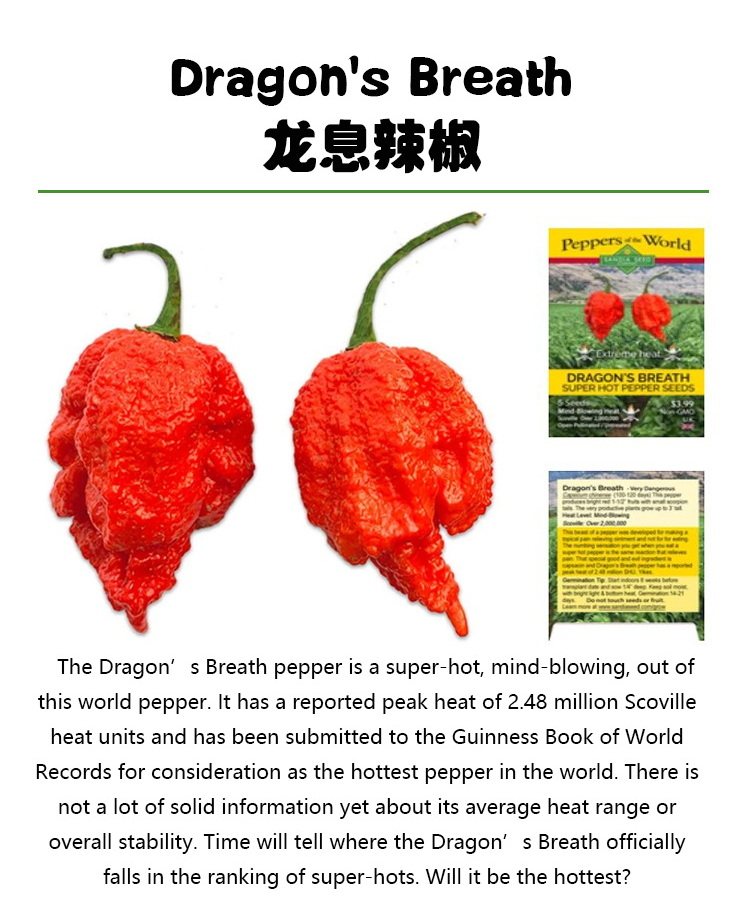安享好物 安享A级干辣椒-傣寨山野龙息辣椒  