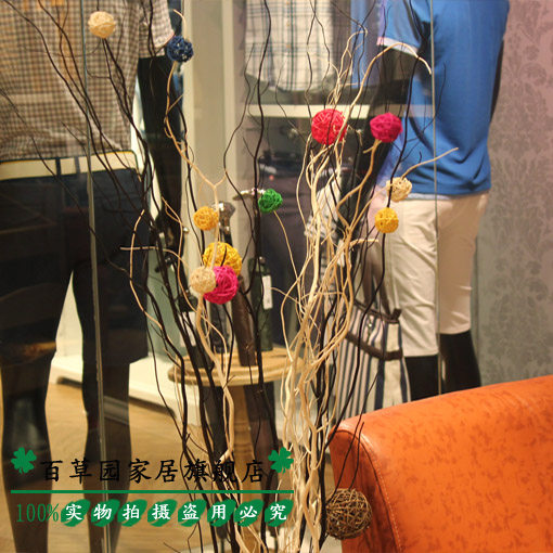 �ٲ�԰�����ɻ�