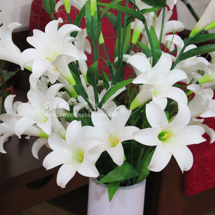 �ٲ�԰�Ҿ�װ�λ����滨