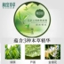 Thích hợp thảo dược mặt nạ ngủ dùng một lần trà xanh nữ dưỡng ẩm ban đêm nuôi dưỡng màu sắc tươi sáng chính thức cửa hàng hàng đầu - Mặt nạ collagen viên uống Mặt nạ