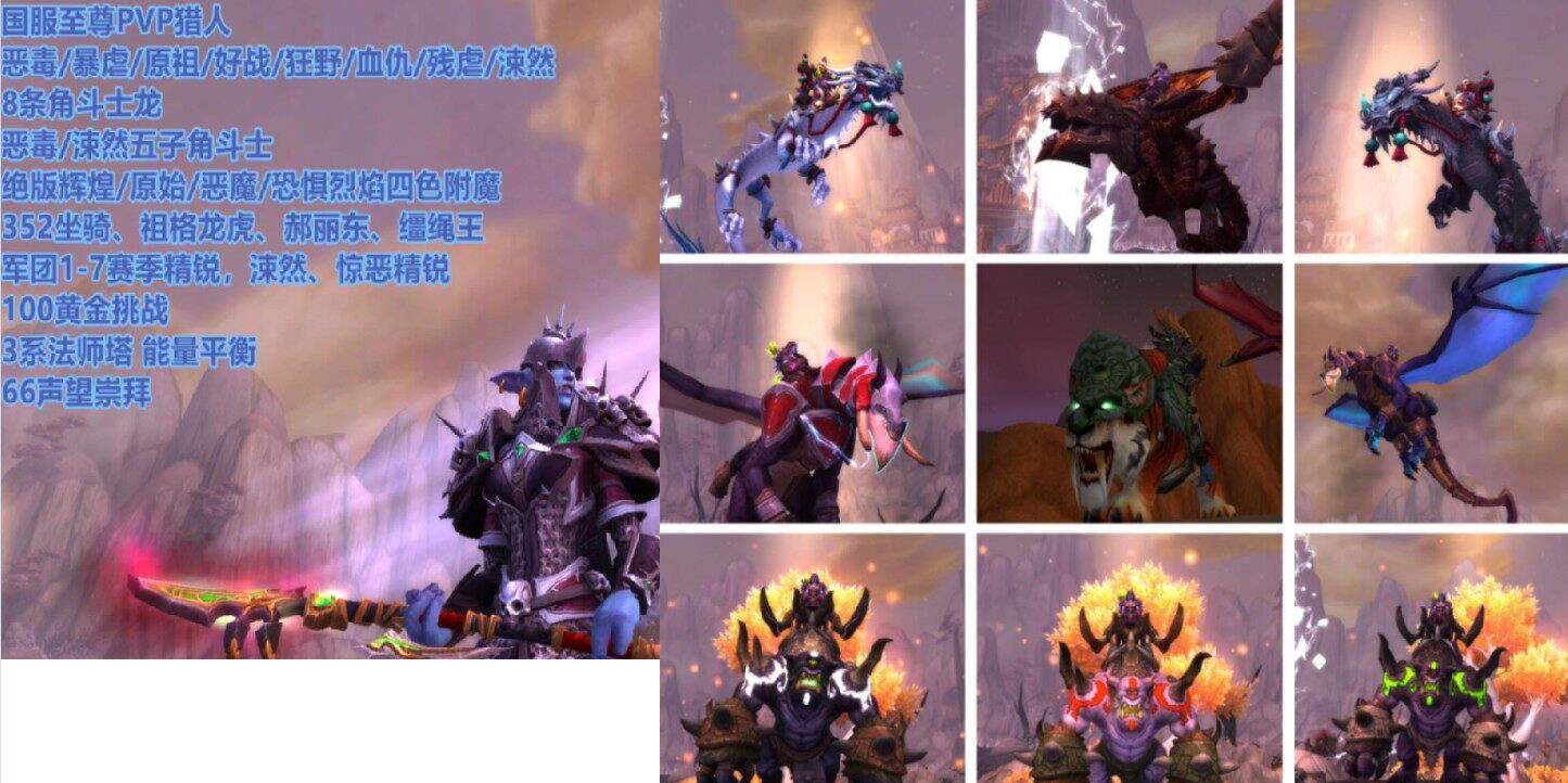 World of Warcraft Account Hunter 8 Gladiator Dragon Double Realm Five Character Gladiator Brilliant Demon Four Enchanted Tiger