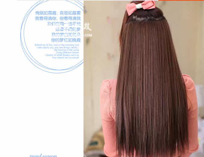 Extension cheveux - Ref 217249 Image 6
