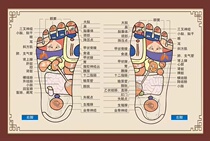 Color map of acupoints on the meridian of the foot