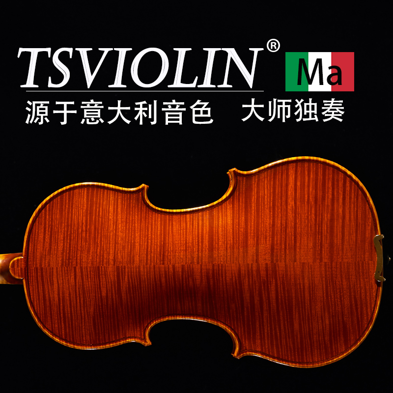 Tai's imported violin adult violin adult child performance stage special professional verification exam