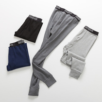 2-pack autumn pants Mens pure cotton single autumn and winter thin warm pants line pants base cotton wool pants Youth tight pants