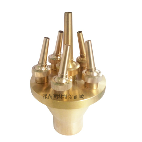 Manufacturer direct copper 2 inch DN 50 center straight up nozzle Water landscape gardening fountain nozzle