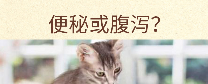 Meds nucleat cream 120g cat to Hair ball baby cat sản phẩm chăm sóc sức khỏe mẹ mèo kem dinh dưỡng tác dụng nhanh - Cat / Dog Health bổ sung sữa cho chó trưởng thành