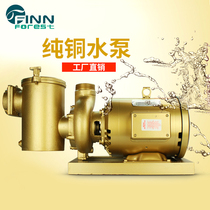 Swimming pool circulating water pump BP copper pump with hair filter equipment large flow water pump super suction suction sewage pump