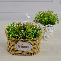 Simulation Milan grass small star green plant small fresh desktop with flower flower decoration with small pot - view decoration