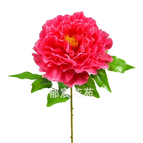 Симуляция пиона отдельные ветви Большой пион цветок шелковый цветочный танце