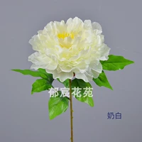 Молоко белое