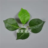 6 листья моделирование цветочные листья розовые листья