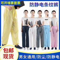 Anti-static clothing dustproof pants split suit pants dust-free pants White blue striped 5MM work pants for men and women