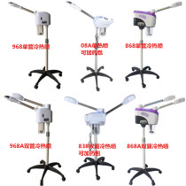 Herbal double tube hot and cold sprayer beauty salon home steamer beauty instrument Facial Hydrating humidifier hot water Cup