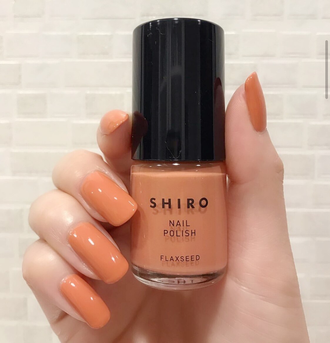 Spot Japan niche shiro natural plant ingredient color nail polish 21 years autumn winter new color