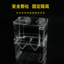 Fish tank acrylic breeding hatching box guppy spawning room young fish fry suspension isolation box tropical fish breeding