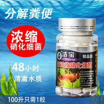 Fish tank nitrifying bacteria water purifier fish farming supplies water quality purification dry powder digestive bacteria aquarium live bacteria stabilizer