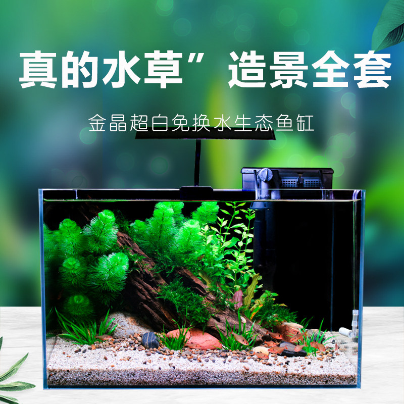 Fish cylinder view full set of ultra-white glass cylinder living room small desktop mini goldfish tank free water ecological cylinder