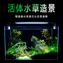 Real water grass fish tank aquarium small living room office desktop home ecological grass tank decoration cloth landscaping package