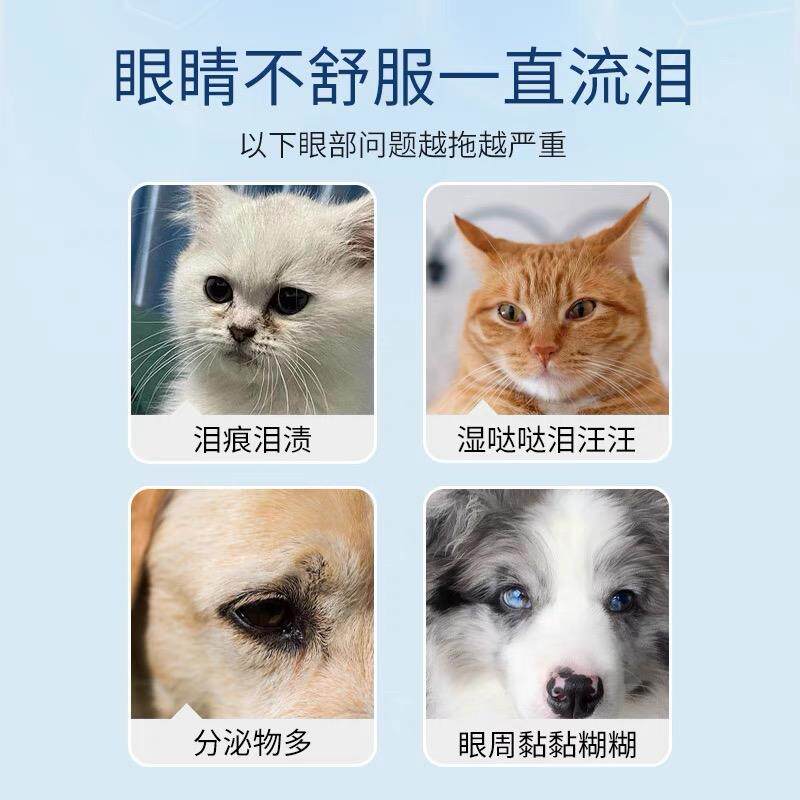猫咪去泪痕好物?派迪诺泪痕片如何提升猫眼健康?-猫氨基酸-淘宝百科网