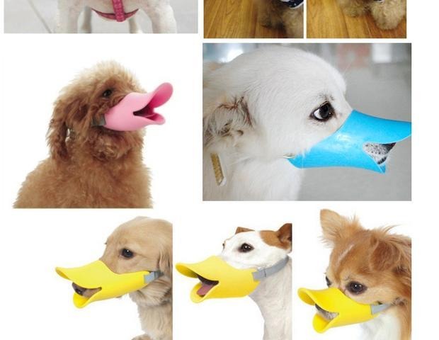 Pet chống cắn mặt nạ chống mèo và miệng chó đặt con chó nhỏ với chú chó Teddy Golden Retriever che miệng con vịt - Cat / Dog hàng ngày Neccessities 	bát ăn chống gù cho chó	