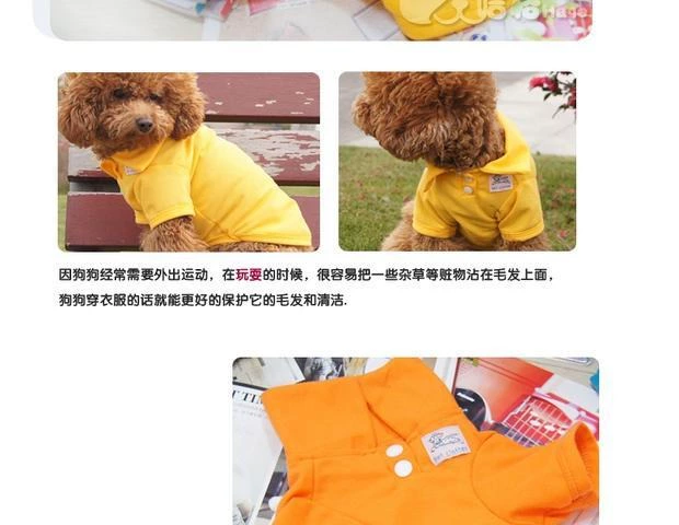 Quần áo cho chó mùa xuân và mùa thu vest T Teddy puppy pet quần áo quần áo và quần áo - Quần áo & phụ kiện thú cưng