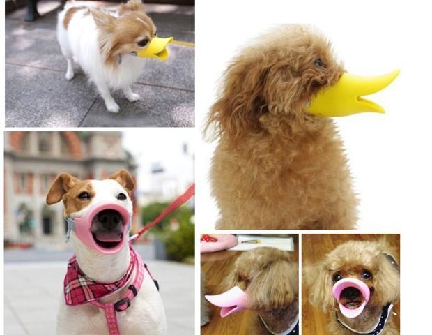 Pet chống cắn mặt nạ chống mèo và miệng chó đặt con chó nhỏ với chú chó Teddy Golden Retriever che miệng con vịt - Cat / Dog hàng ngày Neccessities 	bát ăn chống gù cho chó	