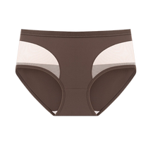 Cat Sexy Hollow Underwear Womens Ice Silk Seamless Summer Thin Mesh 2024 New French Triangle Shorts