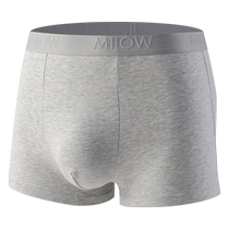 Catman Mens Underwear Boys Pure Cotton Antibacterial Summer Boxer Briefs Young Mens Sports Breathable Boxer Shorts