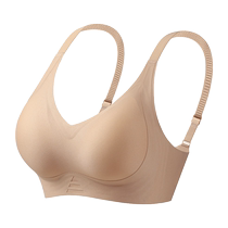 Catman underwear for women with small breasts push-up 2024 new popular style seamless anti-sagging secondary breasts push-up bra to show large size