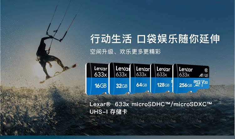 microSD633_01.png