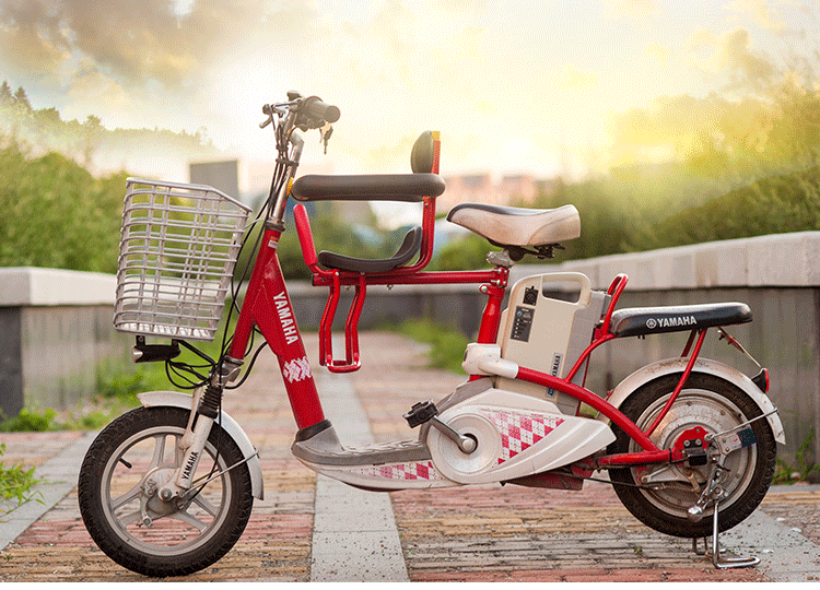 siège enfants pour vélo - Ref 2420539 Image 11