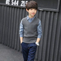 Boy sweater hooded sweatshirt pure cotton 2020 Chun Han version Childrens wool clothing Baby false Two lining autumn jacket