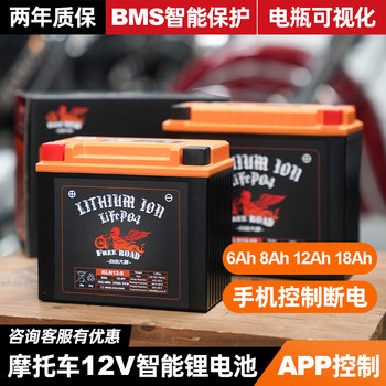 Mobile app controls intelligent lithium battery freedom avenue