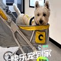 哈宠当家