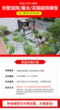 Эскиз Мастер SU Model Small Villa Garden Garden Terrace